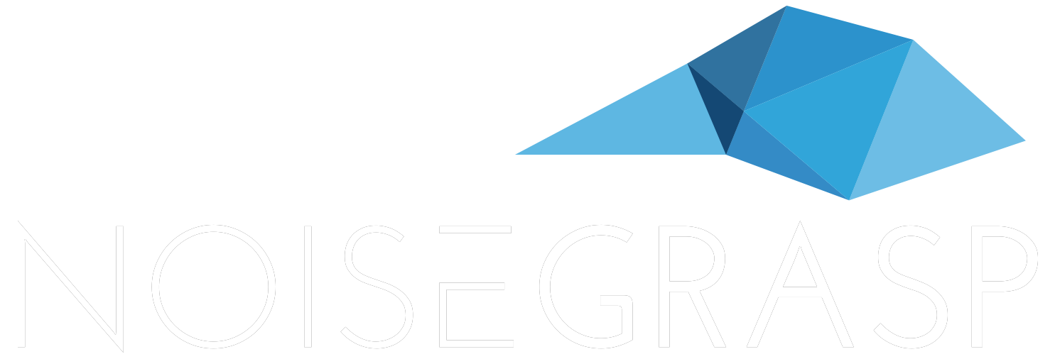 NoiseGrasp Logo